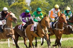 Volunteer at Royal Ascot